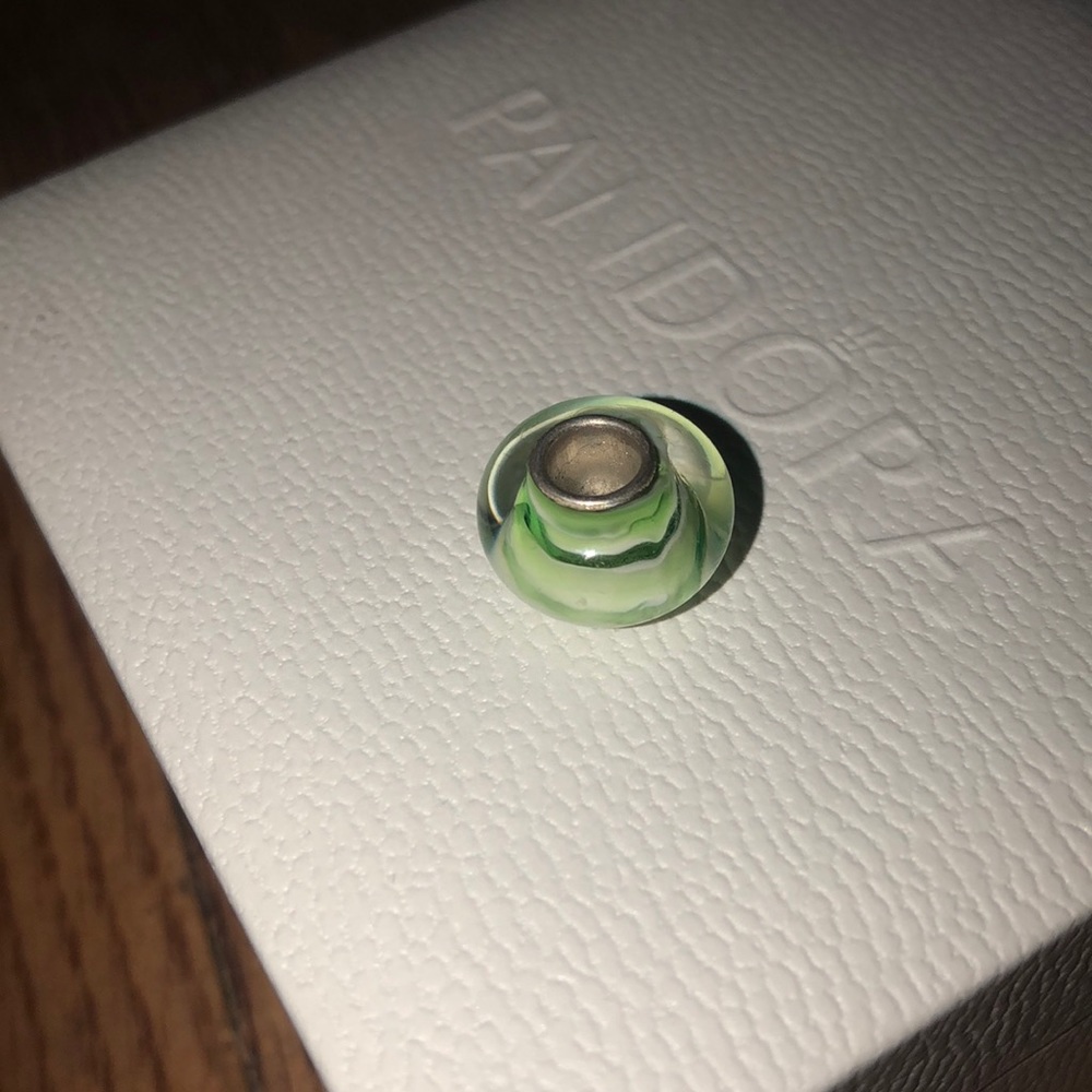 Pandora bracelet charm